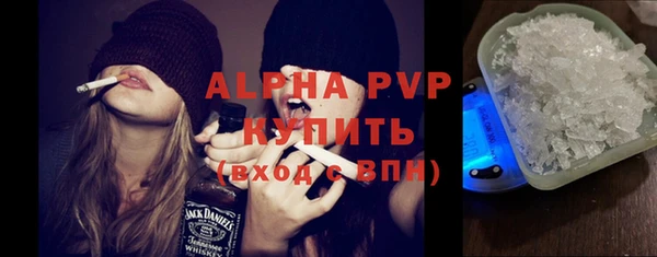 стаф Арсеньев