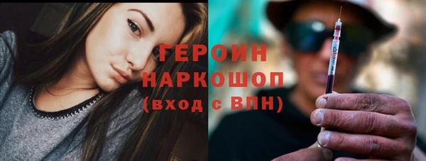 стаф Арсеньев