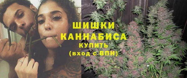 стаф Арсеньев