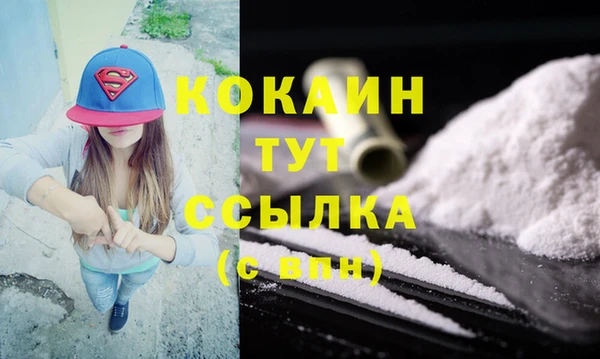 стаф Арсеньев