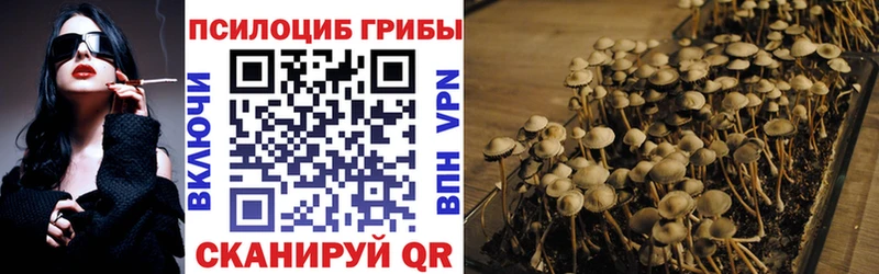 Купить Весьегонск Галлюциногенные грибы Psilocybe